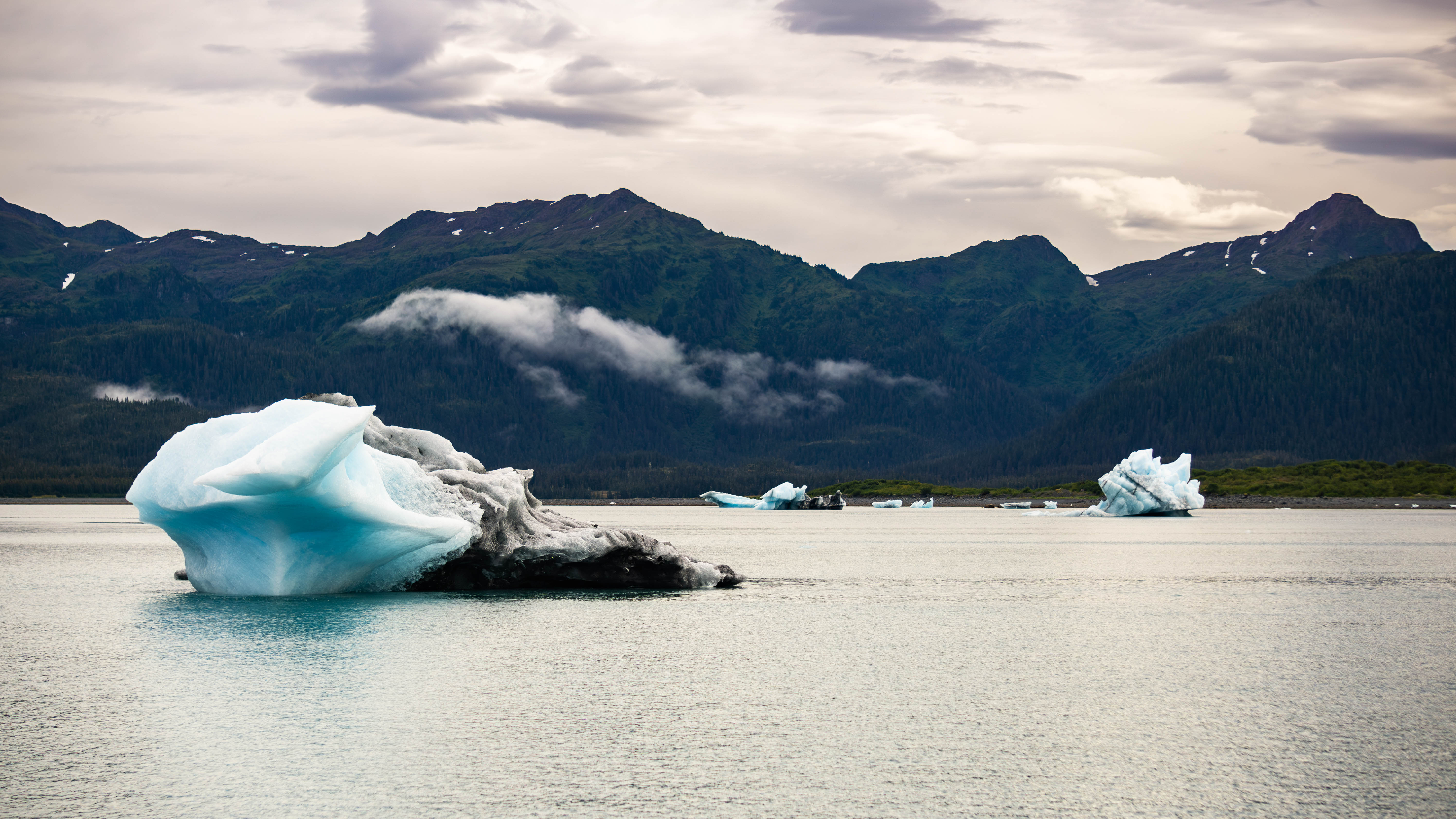 DSC02965-Enhanced-NR