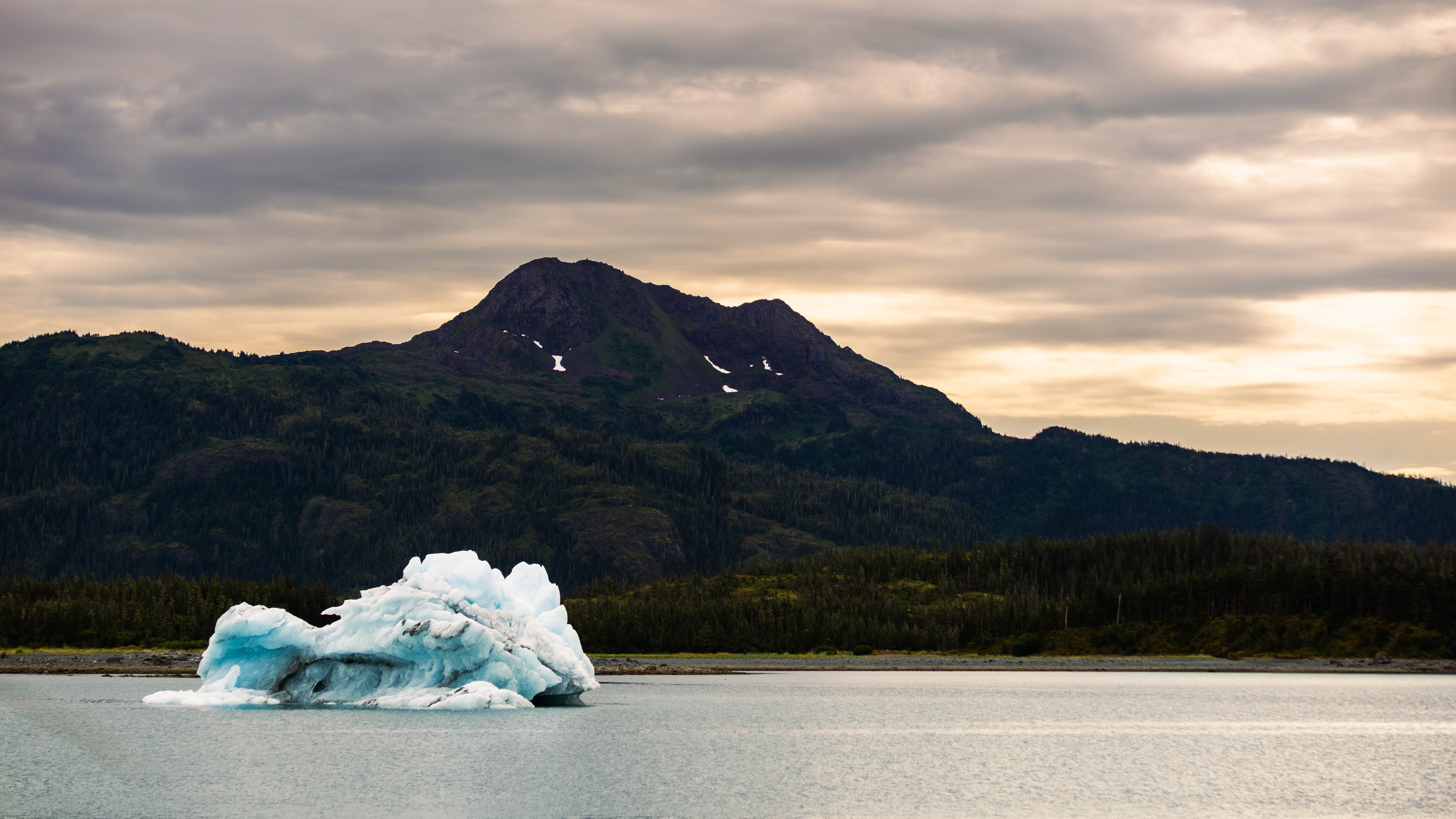 DSC02969-Enhanced-NR