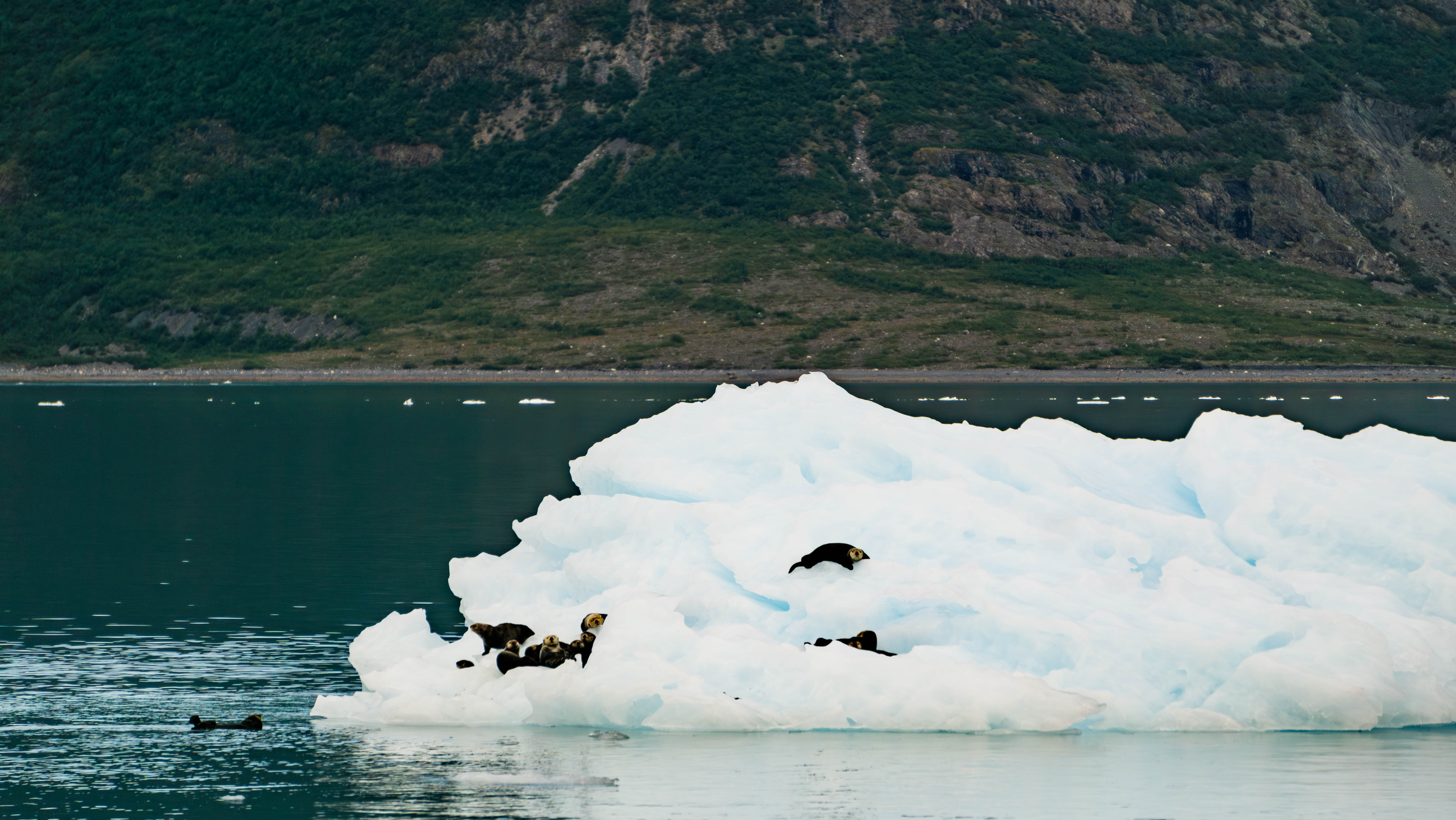 DSC02982-Enhanced-NR