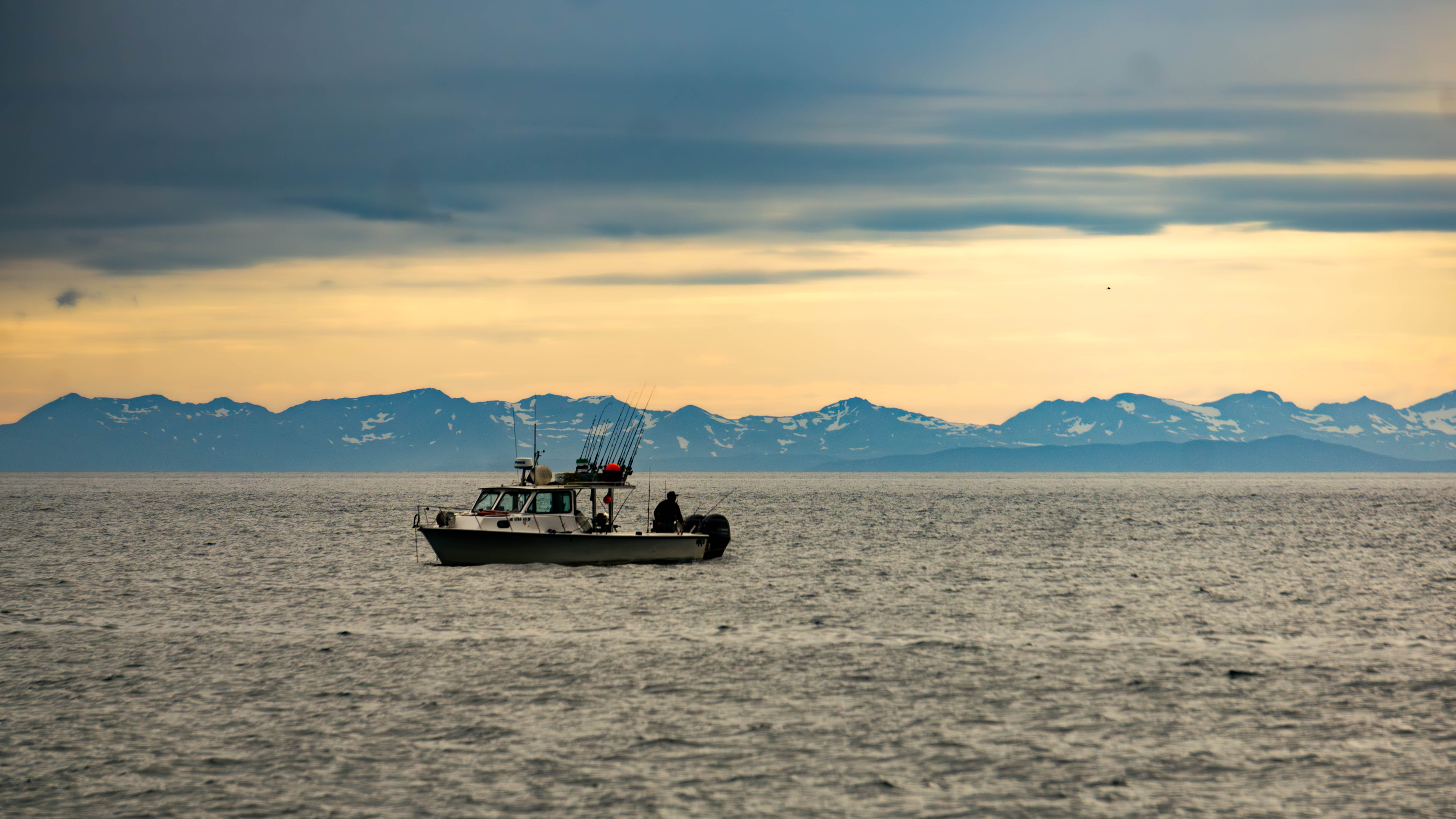 DSC03118-Enhanced-NR